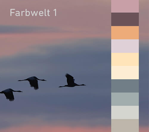 Värvikollektsioon 1