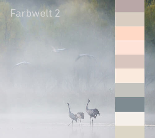 Värvikollektsioon 2